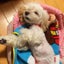 ゆう坊ﾏﾏﾝのサムネイル
