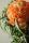 minaraiflorist