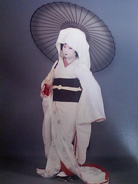 真弓(太乃弓)