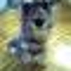 南無なむ子のプロフィール