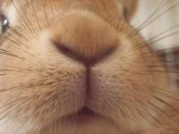 りょう