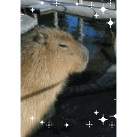 かぴばら