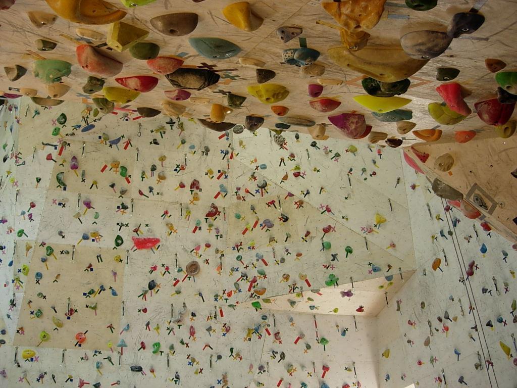 Mammut Festival 14お申込み状況 ロックログ