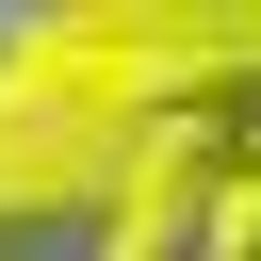 HIDEのプロフィール