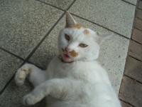 北風太郎
