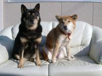 nene&chacha