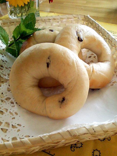しらいし椿