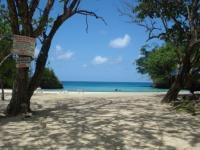 yasjamaica