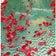 君と小鳥と。