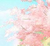 十六夜