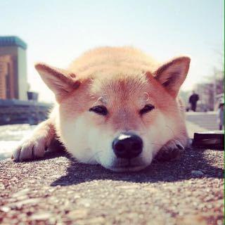 こう