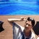 ☺ちぇみの韓国留学ブログ☺