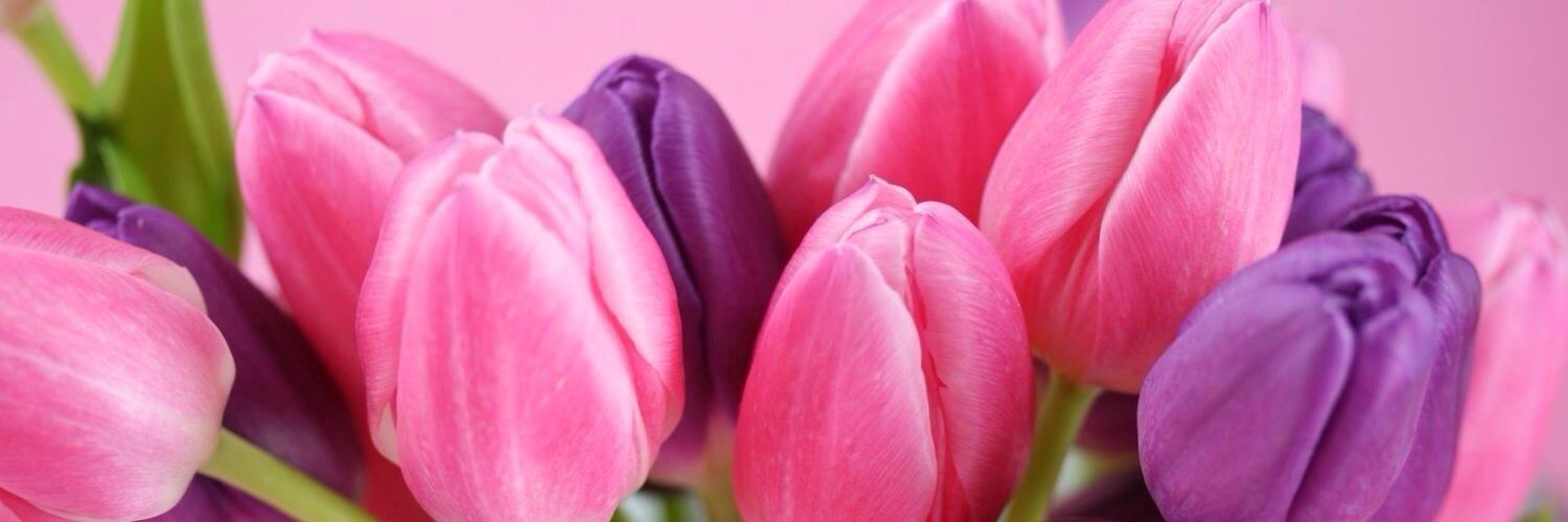 Ｆ