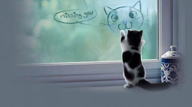 白ひげエース