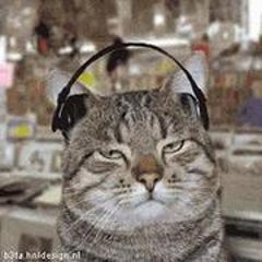 音子のプロフィール