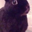 クロックムッシュのサムネイル