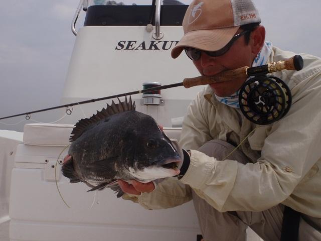 琵琶湖水系・ビワコオオナマズ釣り(初日)2014年5月下旬 | シークロキャプテンのブログ
