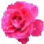 画像 「トコの花ブログ」のユーザープロフィール画像