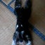 画像 犬の美容室 れん 栃木県栃木市犬トリミングシャンプーカットのユーザープロフィール画像