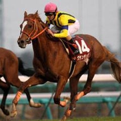 ムルソーのプロフィール