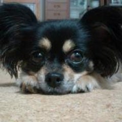 (mayu)kyoのプロフィール