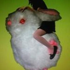 aricoのプロフィール
