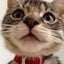 りりーのサムネイル