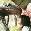 hiromiのサムネイル
