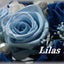 画像 lilaのブログのユーザープロフィール画像