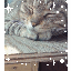 かとさんのサムネイル