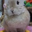 Ｊママのサムネイル