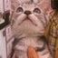 画像 にこにこ小次郎通信☆ニッカポッカをはいた猫のユーザープロフィール画像