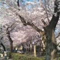 Insence 桜新町 ブログ Insence 桜新町 ブログ