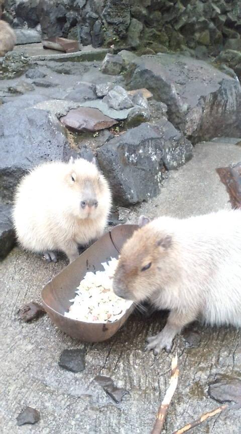 永遠の別れ たくさんの言葉たち 想いとなってあなたのもとへ