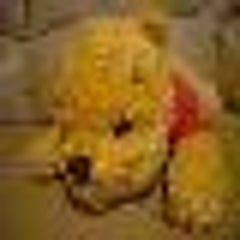 桃のプロフィール