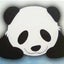 haluのサムネイル