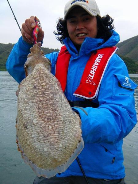 アオリイカのエギ王ｑ捕食シーン 初公開 Kawakamiの世界で釣りたい