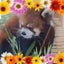 画像 空飛ぶ美味しい花ブログのユーザープロフィール画像