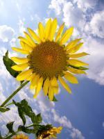 アドレな！ガレッジの上地雄輔 一喜一雄ヾ(^ ^)ノ♪