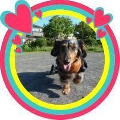 ｸｯｷｰﾏﾏのプロフィール