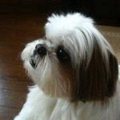 Protonのプロフィール