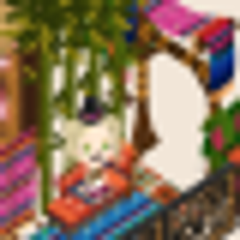 amaccoのプロフィール