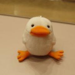 推薦入試体験談 T Duckの自由帳 推薦入試体験談 T Duckの自由帳