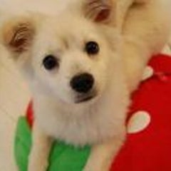 Entto エント Yuccoのブログ Entto エント Yuccoのブログ