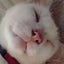 白井みいのサムネイル