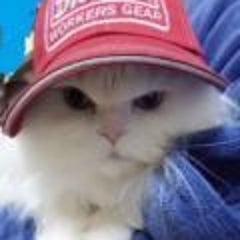 fuku_zのプロフィール