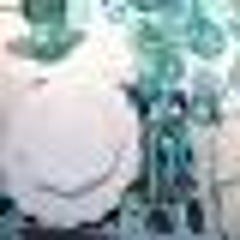 Kayのプロフィール