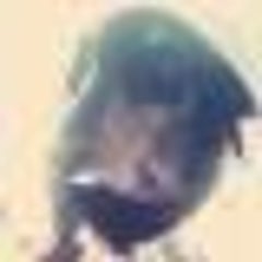 翔る川よ 歌詞 ま たんのブログ 翔る川よ 歌詞 ま たんのブログ