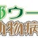 戸部ウータン動物病院のブログ