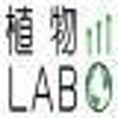 植物LABOのプロフィール